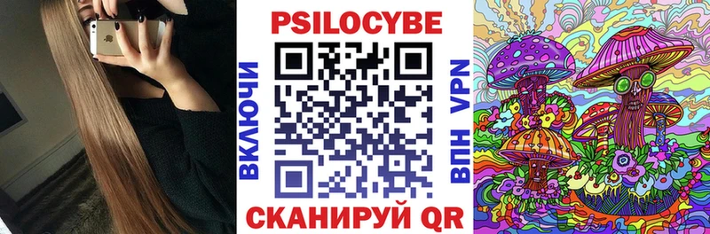Псилоцибиновые грибы GOLDEN TEACHER Бологое